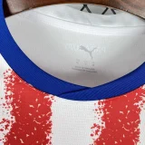 2026/27 Paraguay Home Red White Fans Soccer Jersey