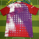 2026/27 Benfica Special Edition Fans Soccer Jersey