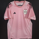 2026/27 Spain Goalkeeper Pink Fans Soccer Jersey （2 Stars 2星）
