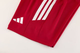 2026 AD14 Red Training Jersey (A Set) AD14