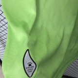 2026/27 Espanyol Third Green Fans Soccer Jersey