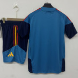 2026/27 Spain Blue Training Jersey (A Set)  （2 Stars 2星）