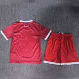 2027/28 Wales Home Red Kids Soccer Jersey