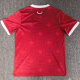 2027/28 Wales Home Red Fans Soccer Jersey