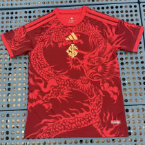 2026/27 Internacional Special Edition Fans Soccer Jersey