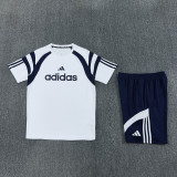 2026/27 AD White Training Jersey (A Set) AD17