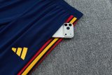 2026/27 Spain Blue Sweater Tracksuit（2 Stars 2星）