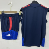 2026/27 Lyon Vest Training Jersey (A Set)
