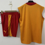 2026/27 Galatasaray Orange Vest Training Jersey  (A Set)