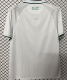 2026/27 Werder Bremen 100th Anniversary Edition Fans Soccer Jersey