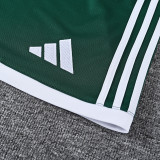 2026-27 LFC Dark Green Training Jersey (A Set)
