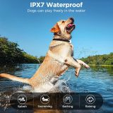 Rechargeable Dog Training Collar IP67 Waterproof 800m Range Remote Dog Shock Collar with Beep,Vibration,Shock,LED Light 4 Modes