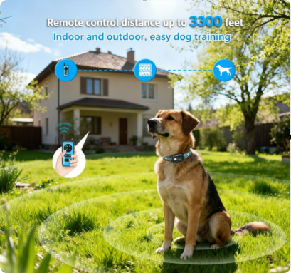 Dual Dog Training Collar 1000M Range One-Click No Shock Lock TFT Screen Collar with Rechargeable Boost Shock Auto Sleep 5 Modes