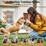 Rechargeable Dog Training Collar IP67 Waterproof 800m Range Remote Dog Shock Collar with Beep,Vibration,Shock,LED Light 4 Modes