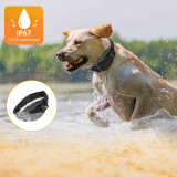 1000M Remote Dog Training Collar with BeepAdjustableTone Vibration Warning Shock LCD Screen Rechargeable Collar with Lock Button