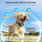 Automatic No Shock Option Dog Bark Collar IP67 Waterproof Smart Bark Recognition System Adjustable Buckle 5 Adjustable Levels