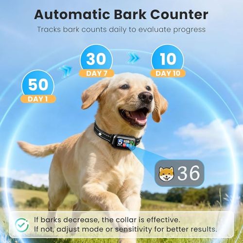 Automatic No Shock Option Dog Bark Collar IP67 Waterproof Smart Bark Recognition System Adjustable Buckle 5 Adjustable Levels