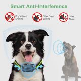 Anti Barking Collar Smart Voice Recognition 5 Levels Adjustable Sensitivity Rechargeable Auto Sleep No Shock Dog Training Collar