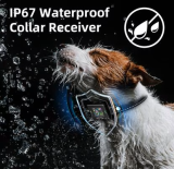 Automatic Anti Bark Collar 3 Training Modes IP67 Waterproof Dog Shock Collar with LCD Color Screen Bark Counter