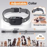 Automatic No Shock Option Dog Bark Collar IP67 Waterproof Smart Bark Recognition System Adjustable Buckle 5 Adjustable Levels