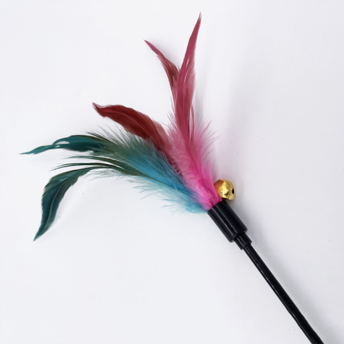 65cm 50cm Cat Teaser Wand with Bell Feather Interactive Pet Cat Teaser Toy Kitten Supplies