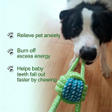 Dual Color Cotton Rope Pet Toy Set Durable Chew Rope Dental Care Teething Stick Interactive Training Dog Toys