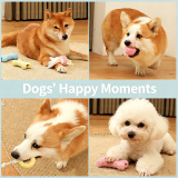Durable TPR Dog Toy Bite Proof Molar Stick Toy Ball Teeth Cleaning Pet Supplies for Small Medium Large Dogs