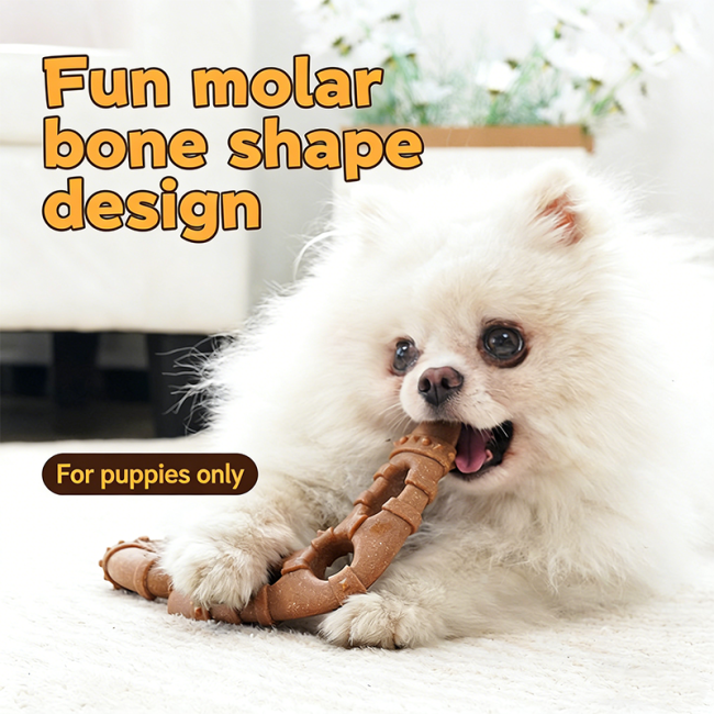 Durable Dog Bone Chew Toy Teeth Cleaning Molar Stick Bite Resistant Interactive Pet Toys for Small Medium Dogs