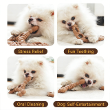Durable Dog Bone Chew Toy Teeth Cleaning Molar Stick Bite Resistant Interactive Pet Toys for Small Medium Dogs