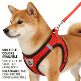 Vest Type Dog Harness and Leash Set Outdoor Walking Anti-Pull Pet Chest Strap