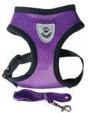 Vest Type Dog Harness and Leash Set Outdoor Walking Anti-Pull Pet Chest Strap