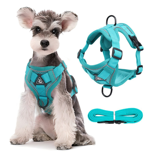 Vest Style Dog Harness Reflective Breathable Pet Cat Chest Strap Walking Leash