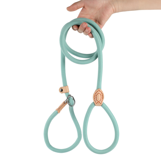 Anti-Pull Integrated Dog Pet Leash Thickened Durable Pet Chain Training Rope for Small Medium Large Dogs