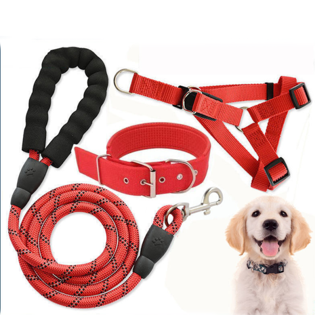 Extra Long Dog Leash Pet Walking Lead Leash for Small Medium Large Dogs Teddy Golden Retriever