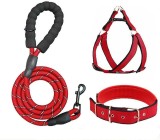 Extra Long Dog Leash Pet Walking Lead Leash for Small Medium Large Dogs Teddy Golden Retriever