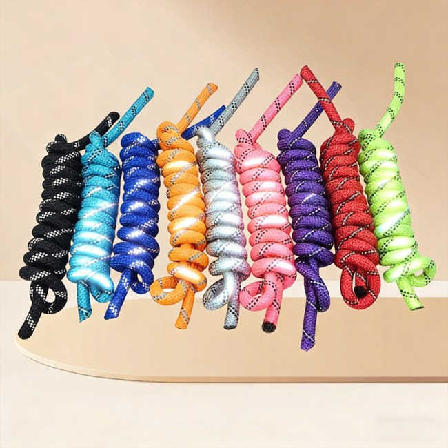 Reflective Dog Leash Colorful Pet Walking Rope Safety Traction Lead for Outdoor Dog Walking