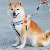 Reflective Dog Harness Vest Type Anti-Pull Breathable Pet Chest Harness for Outdoor Walking