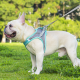 Reflective Breathable Vest Dog Harness Leash Set Adjustable Pet Chest Strap for Dogs Cats