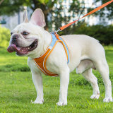 Reflective Breathable Vest Dog Harness Leash Set Adjustable Pet Chest Strap for Dogs Cats