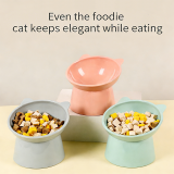 Tilted Elevated Pet Bowl, Cervical Protection Anti-Tipping Cat Food Bowl High Foot Feeding Bowl for Cats Small Dogs
