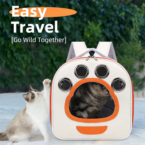 Foldable Transparent Pet Backpack, Large Space Portable Outdoor Cat Bag, Lightweight Handbag Easy Storage for Cats