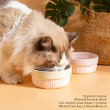 Anti-slip Cat Bowl Durable Pet Feeder, Daily Food Water Bowl for Kitten Small Breed Dogs