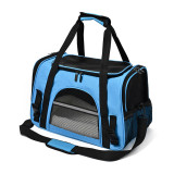 Foldable Transparent Pet Carrier, Portable Outdoor Handbag Single Shoulder Crossbody Bag, Breathable Travel Bag for Cats Dogs