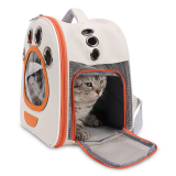 Foldable Transparent Pet Backpack, Large Space Portable Outdoor Cat Bag, Lightweight Handbag Easy Storage for Cats