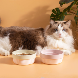 Anti-slip Cat Bowl Durable Pet Feeder, Daily Food Water Bowl for Kitten Small Breed Dogs