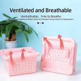Small Pet Transport Box, Breathable Travel Outgoing Cage, Portable Carrier for Hamster, Golden Bear, Fancy Mouse
