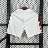 Benfica Soccer Jersey Home Custom Shorts 2025/26