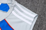 Bayern Munich Sleeveless Training Kit Gray 2025/26