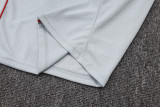 Bayern Munich Training Jersey Kit Gray 2025/26