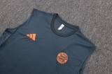 Bayern Munich Sleeveless Training Kit Gray 2025/26